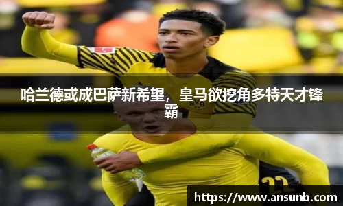 k1体育-十年品牌