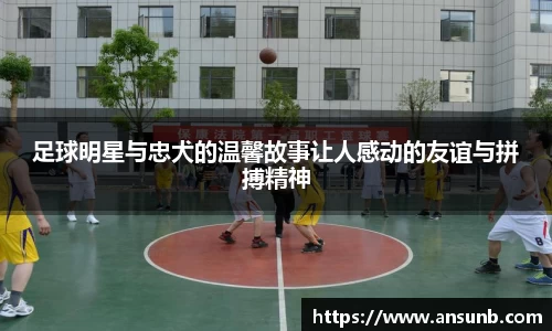 k1体育-十年品牌