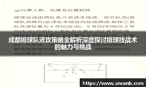 成都排球队进攻策略全解析深度探讨排球技战术的魅力与挑战